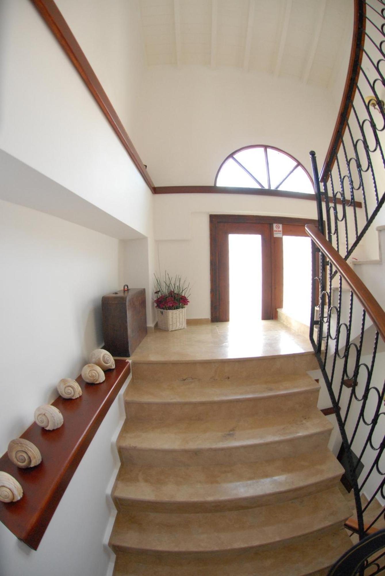 Aliye Hanim Hotel Ayvalik Ngoại thất bức ảnh