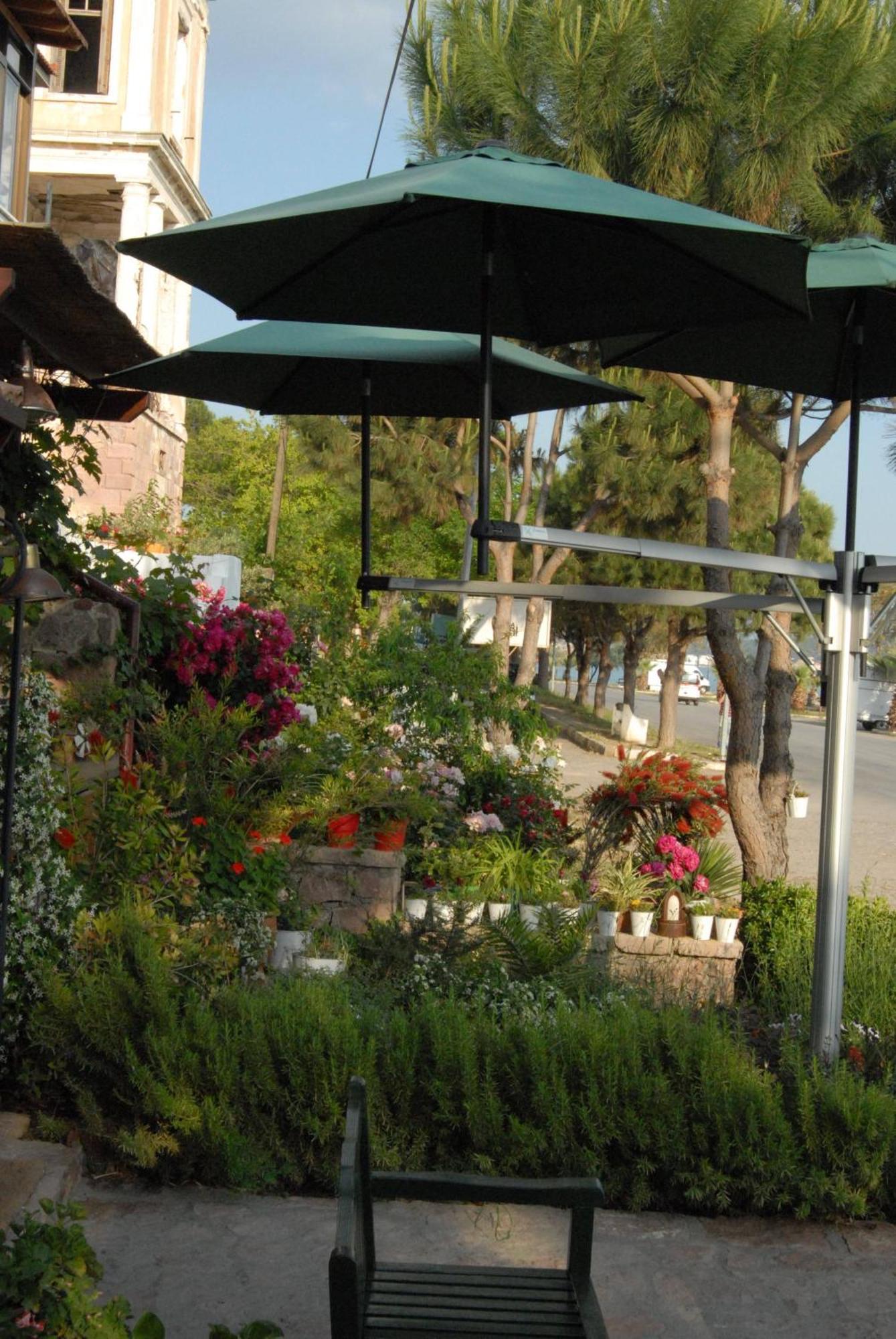 Aliye Hanim Hotel Ayvalik Ngoại thất bức ảnh